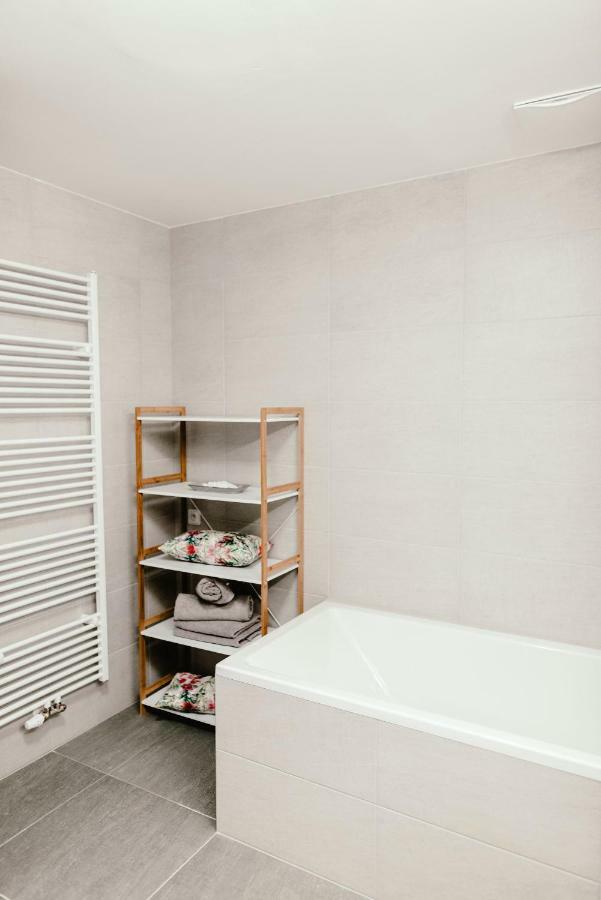 Luxury Apartments Zelny Trh ブルノ エクステリア 写真