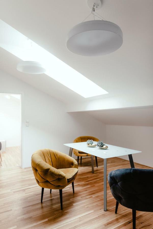 Luxury Apartments Zelny Trh ブルノ エクステリア 写真