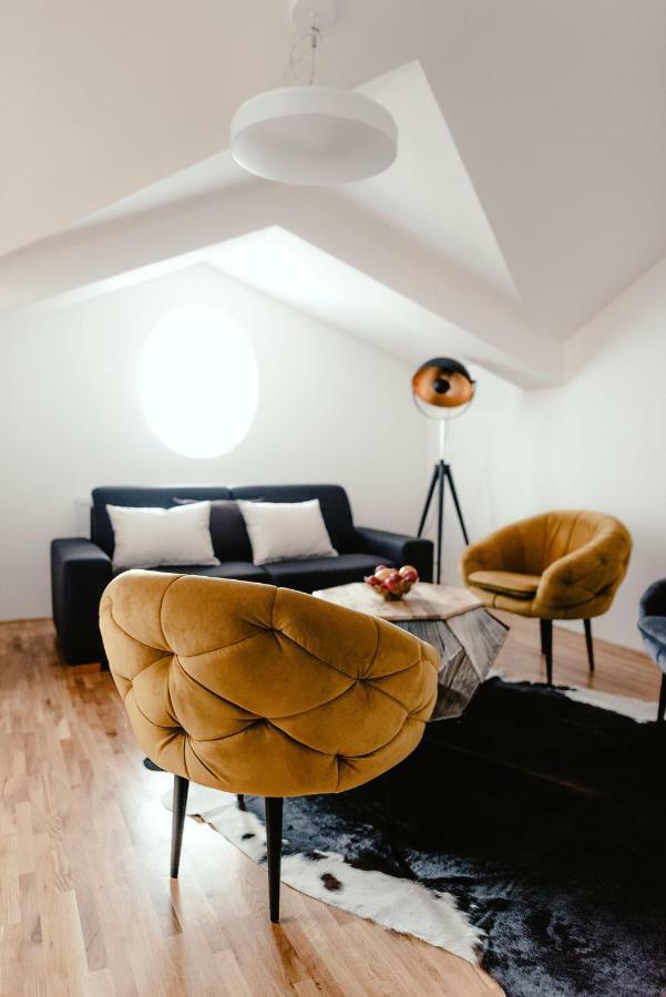 Luxury Apartments Zelny Trh ブルノ エクステリア 写真