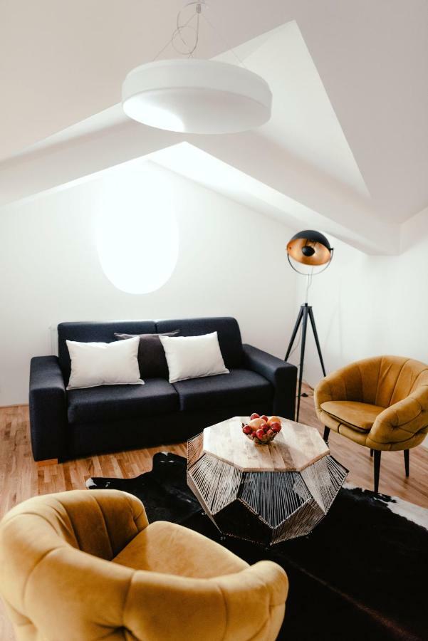 Luxury Apartments Zelny Trh ブルノ エクステリア 写真