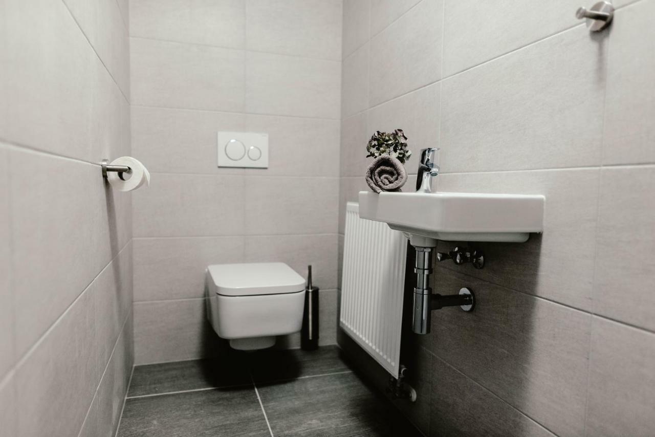 Luxury Apartments Zelny Trh ブルノ エクステリア 写真