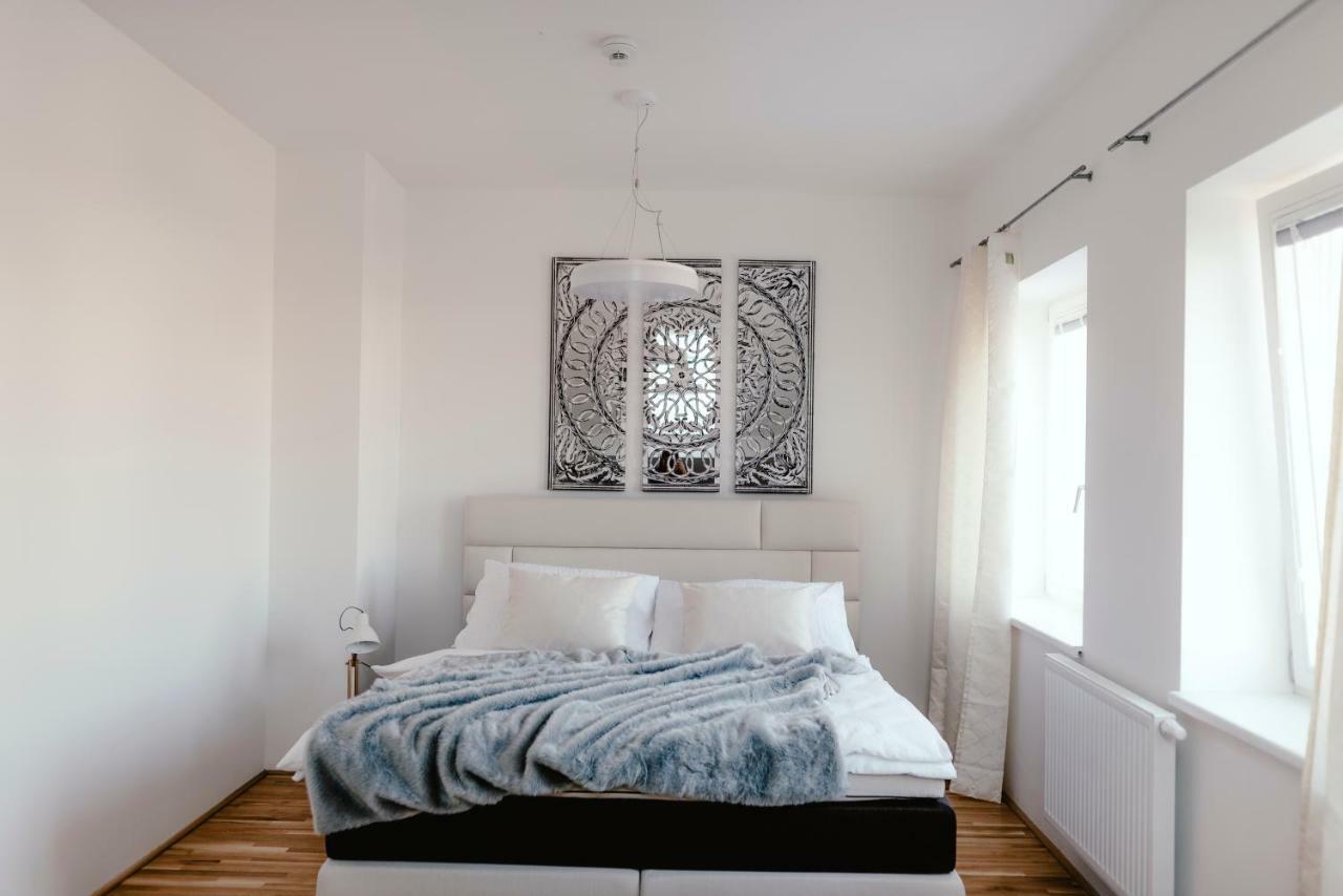 Luxury Apartments Zelny Trh ブルノ エクステリア 写真