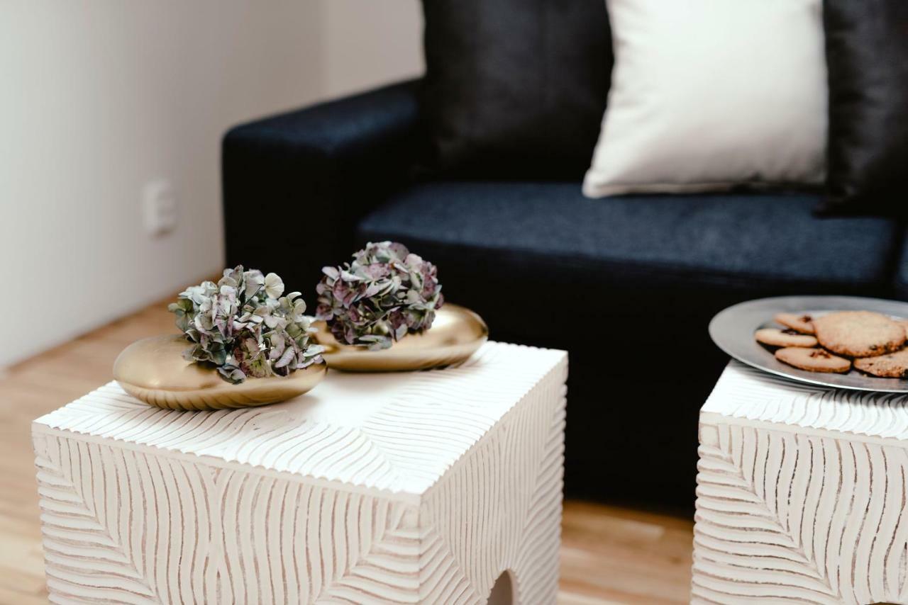 Luxury Apartments Zelny Trh ブルノ エクステリア 写真