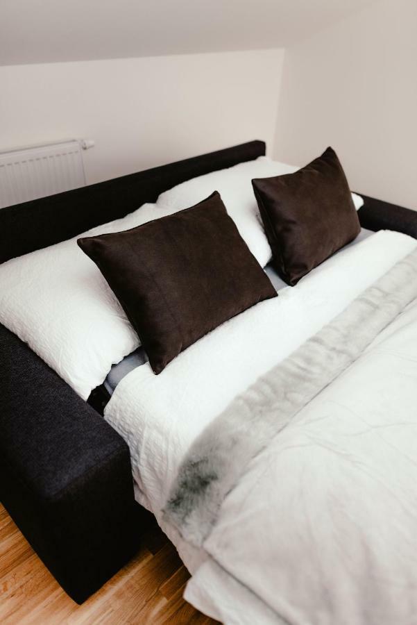 Luxury Apartments Zelny Trh ブルノ エクステリア 写真