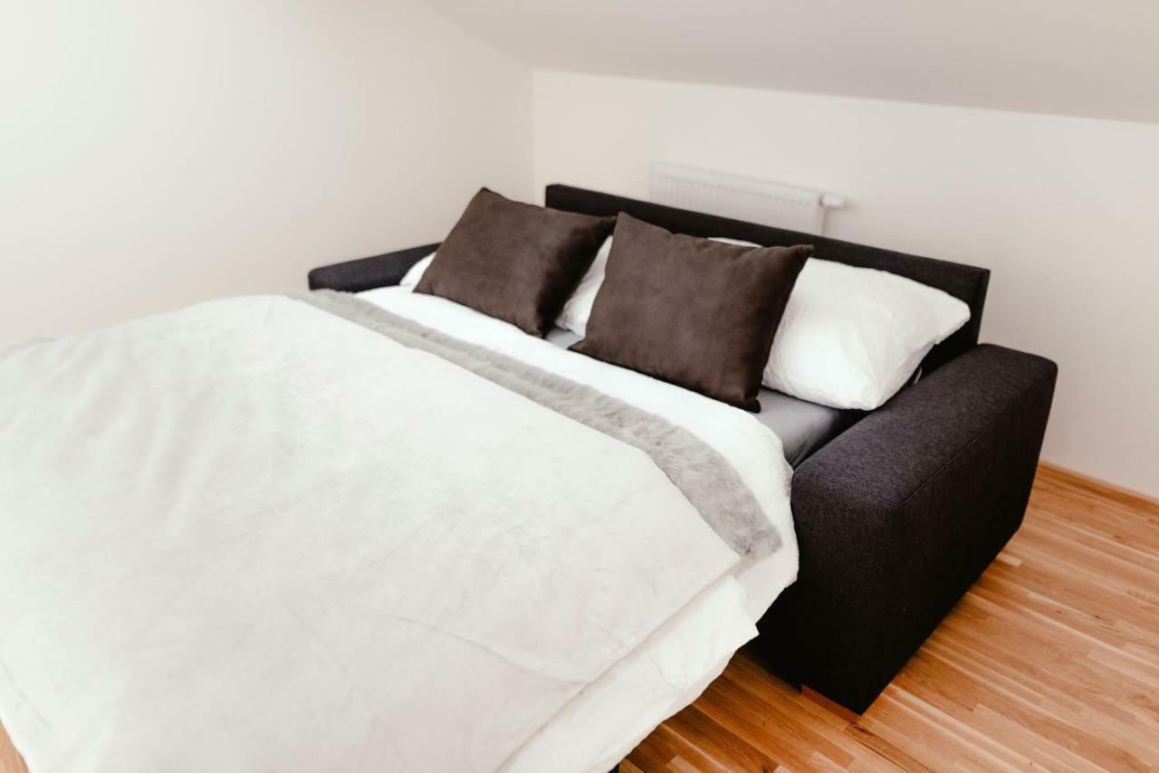 Luxury Apartments Zelny Trh ブルノ エクステリア 写真