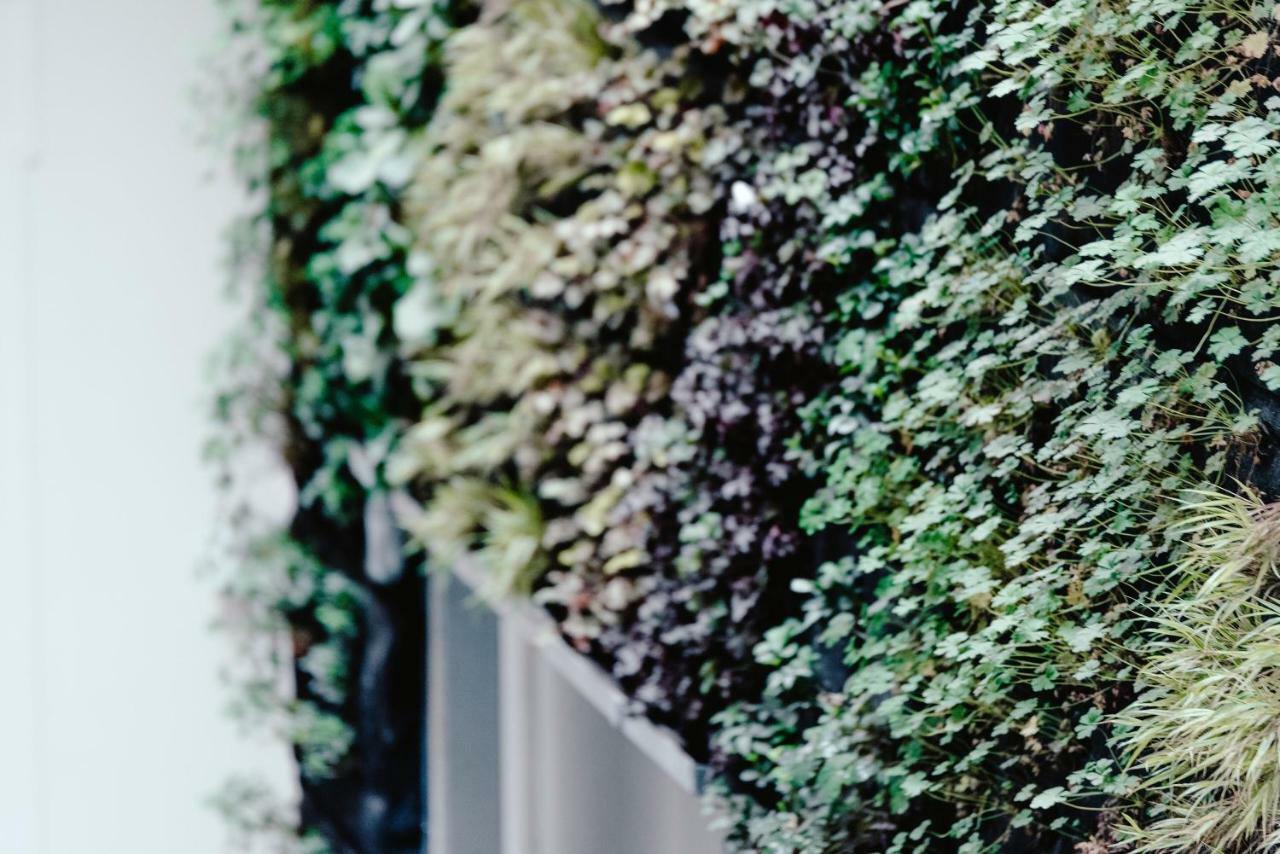 Luxury Apartments Zelny Trh ブルノ エクステリア 写真